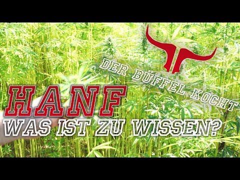 THEMA HANF: WAS MUSS MAN WISSEN? | Spezial Teil 1