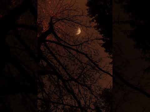 Hard Piano X Flute Trap Type Beat| "Dont be mad"