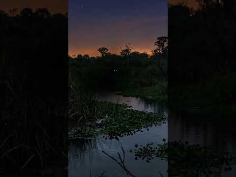 🐺 Historia Paranormal Real: El Lobizón de Gobernador Roca