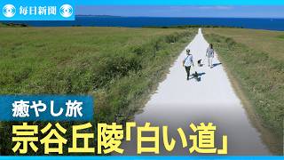 癒やし旅（北海道・稚内）　一面の緑に「白い道」