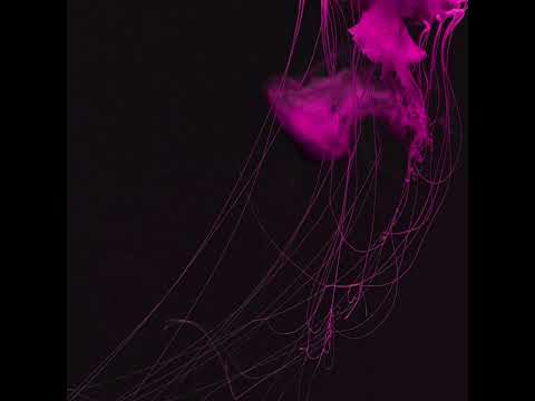 BUMBLE BEEZY TYPE BEAT "FREE FOR PROFIT"