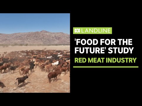 Australia's largest sustainability study of the red meat industry is underway | Landline | ABC News