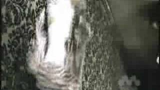 Jakalope - Upside Down