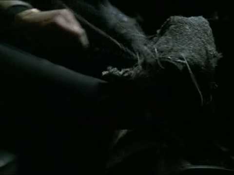 Maffiózók - Az új Bruno Magli design:)