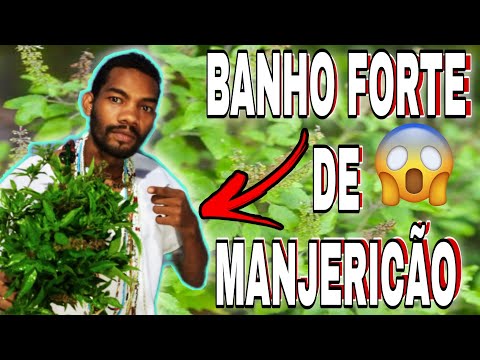 BANHO FORTE DE MANJERICÃO🙀#umbanda #banho #orixas