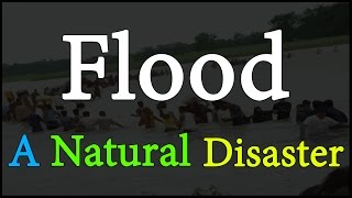 Flood A Natural Disaster | Environmental Science | EVS | Letstute