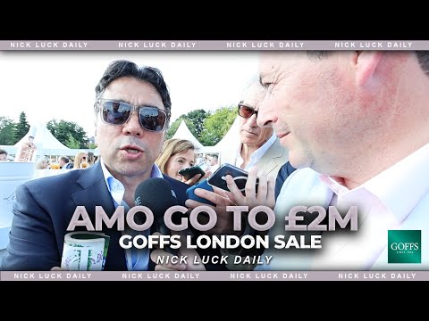Ghostwriter sold for £2,000,000 Amo Racing at the GOFFS London Sale! | LIVE from GOFFS London Sale