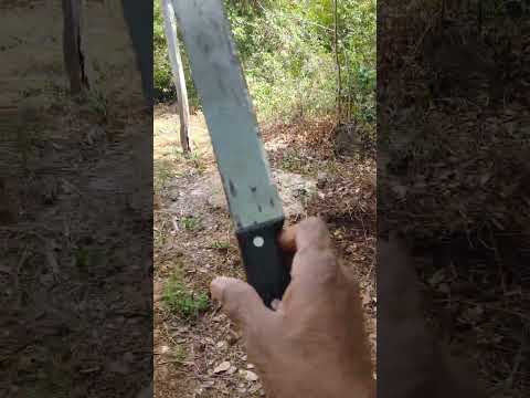 Meu novo la chacara esperanças sao bento do Tocantins