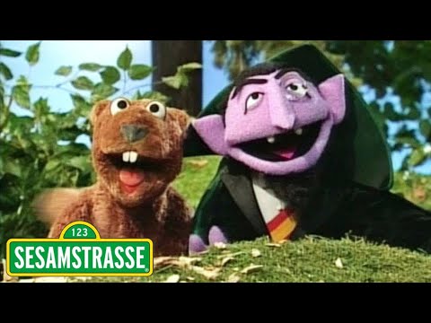 Graf Zahl und das Murmeltier | Sesamstraße | NDR