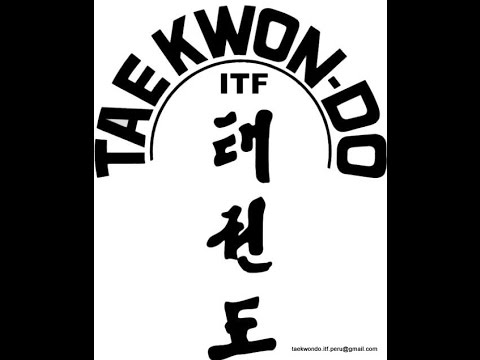 Taekwondo ITF sparing Karen Papyan 29.05.2016 polufinal