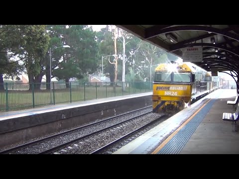 Pacific National NR's hauling an intermodal through Mittagong