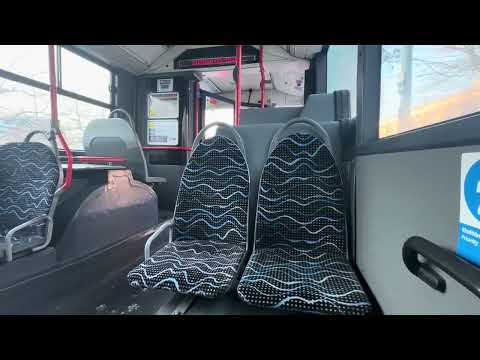 225-ös busz (MFW522)