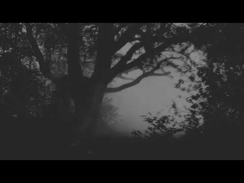 Aokigahara 青木ヶ原  (Elegy for the Forest)