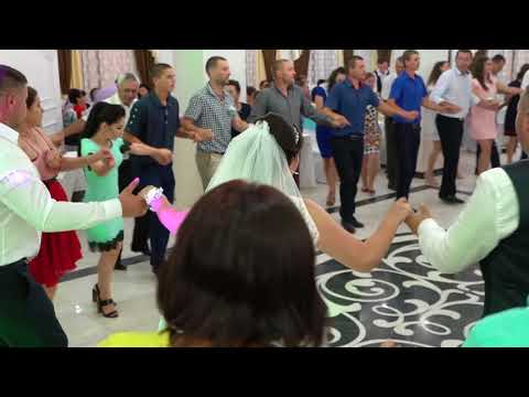 Am o mindra floare dulce si o hora - formatia Hora Prutului