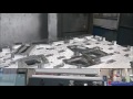 Přehrát video