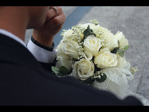 qt. - maybe it's all for the best (lyric video)