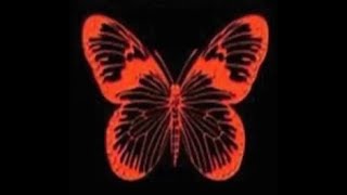 Spirit of Metamorphosis - Ingenuity 2017