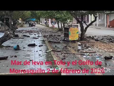 Swell in Tolu and the Gulf of Morrosquillo. February 2, 2026