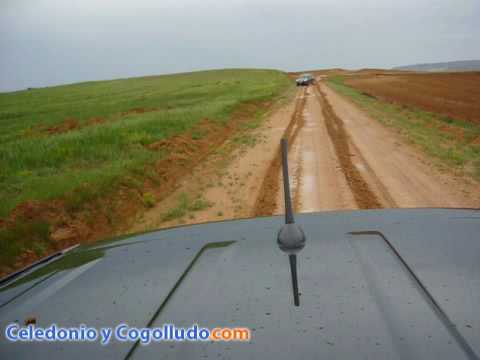 Blog Celedonio y Cogolludo – Toyota RAV4