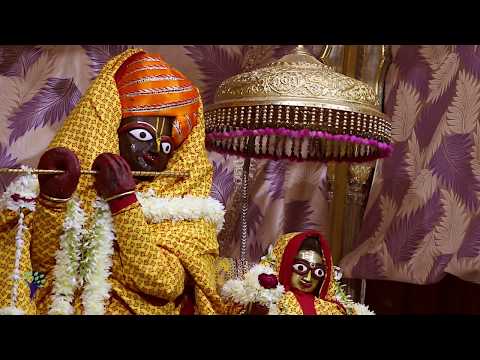 Joy of Krishna Consciousness 019 - Radha Govind Devji! Bhajan by Tarana Chaitanya Das