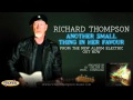 Richard Thompson - Another Small Thing In Her Favour