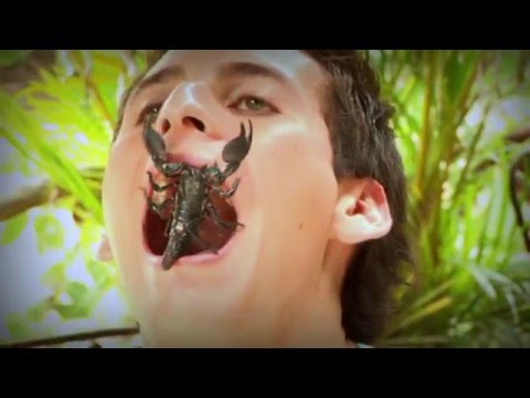 YouTube video