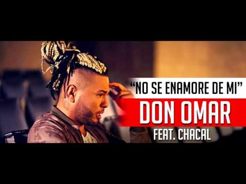 No sé enamore de mi-Don Omar feat chacal