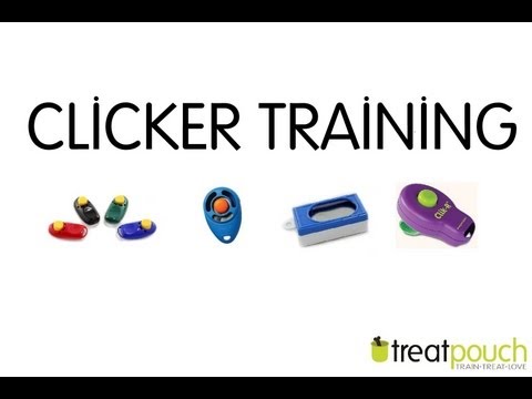Introduction to Dog Training / Clicker Training