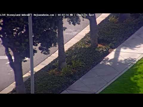 Live webcam of Disneyland Cam