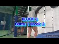 DVTV: Block 8 Hams 1 Wk 2