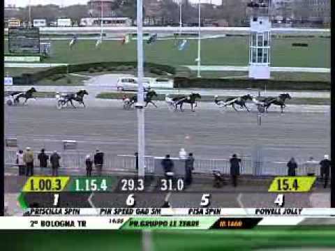 31/03/2013, Bologna , Premio Gruppo Le Zebre