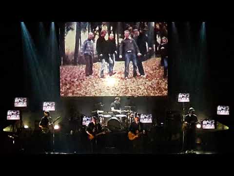 Girls in Hawaii - Bees & butterflies (live @ AB)