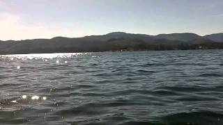 preview picture of video 'Porpoises near Coffman Cove, Southeast Alaska in Clarence Strait'
