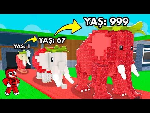 From 1TL to 1,000,000 TL BUT My Brainrots Are Developing!! - Steal A Brainrot