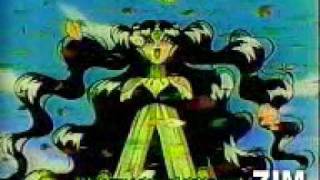 Du Hast Mich- Sailor Moon &amp; Rammstein