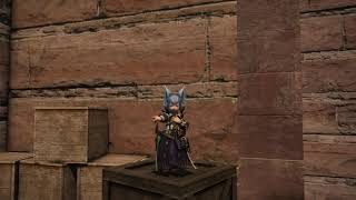 【FF14】エモーションで遊んでみた