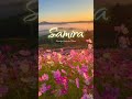 Samira Samira Name Status Status Shorts