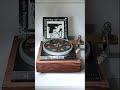 Audio Grail Garrard 401 plinth system