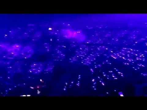 Periwinkle Ocean f(x)