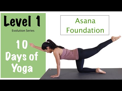 Level 1 - Yoga For Beginners- Asana Foundation - Evolution Series - Yogbela