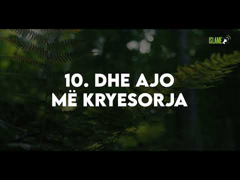 CILËSITË E PERSONALITETIT TË SUKSESSHËM