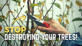 Simple & Important [Pro] Pruning Tip