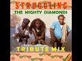 The Mighty Diamonds Tribute Mix 🇯🇲