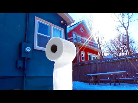 Is Frozen Toilet Paper Art?
