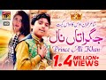Jagraatan Naal Official Video Prince Ali Khan Tp Gold