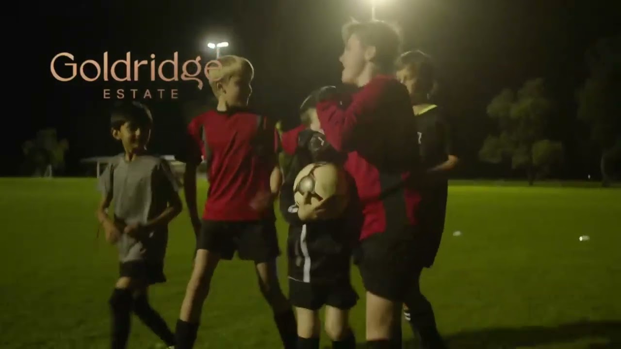 img-video