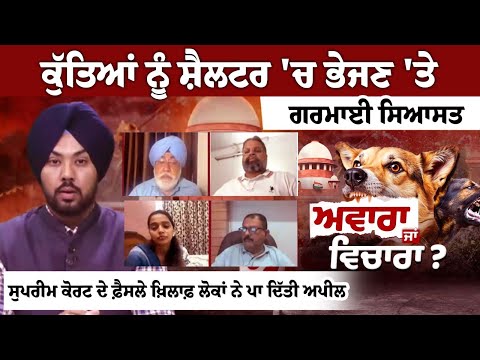 Politics heated up over sending dogs to shelter, appeal filed against the Supreme Court's decision