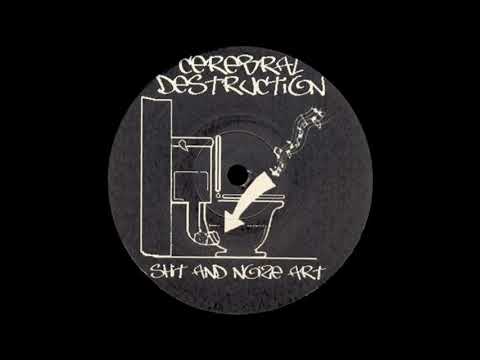 HCM DJ - Beastie Guys - Cerebral Destruction ‎– SANA 003