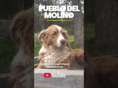 ¿Cómo se molía la harina antes? Te lo muestro en Trevelin