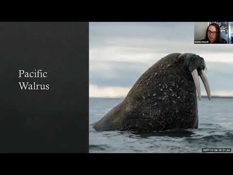 Victories in Alaska